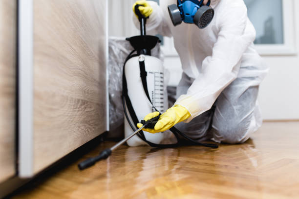 Best Bed Bug Extermination  in Embreeville, TN