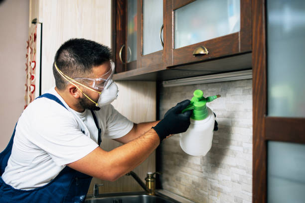 Best Pest Inspection Near Me  in Embreeville, TN