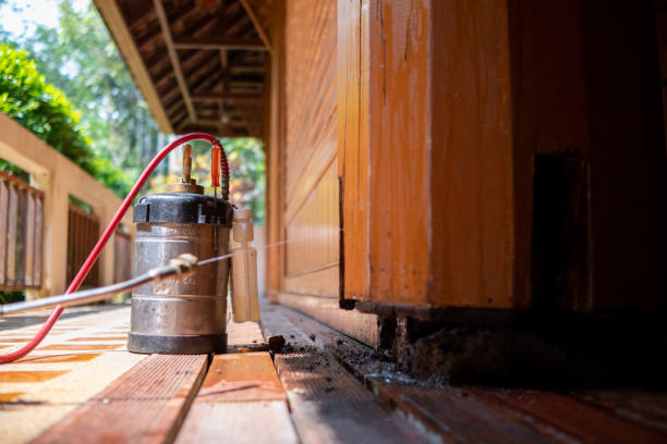 Best Wasp Removal Services  in Embreeville, TN