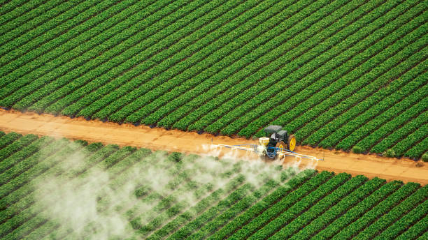 Best Commercial Pest Control Services  in Embreeville, TN