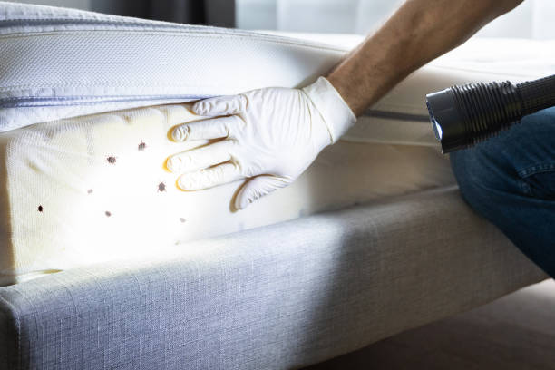 Best Commercial Pest Control Services  in Embreeville, TN