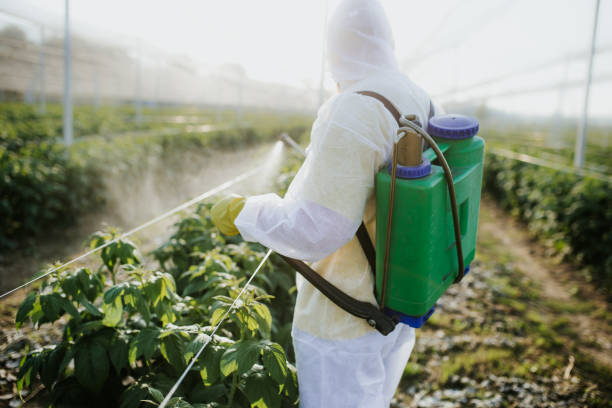 Pest Prevention Services in Embreeville, TN
